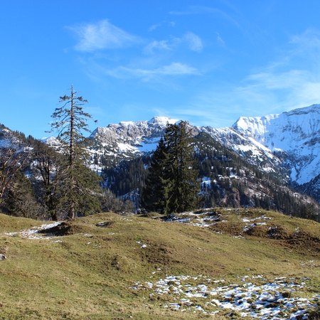 37 Im Herbst 2012 im Allgäu